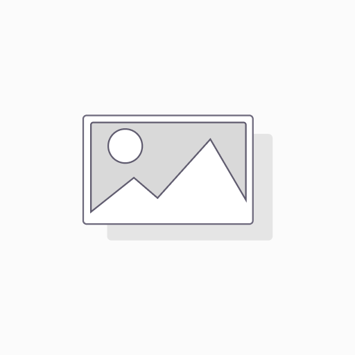 Forfait API Business
